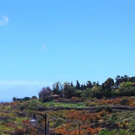 Almabellaclub 브레나바자