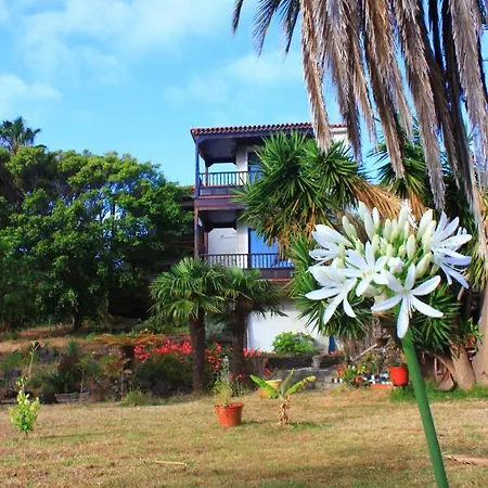 Almabellaclub 브레나바자