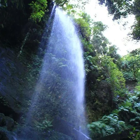 Almabellaclub 4* 브레나바자