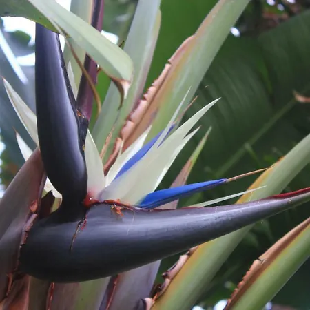 公寓式酒店 Almabellaclub *