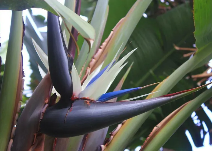 מלון דירות Almabellaclub 4*